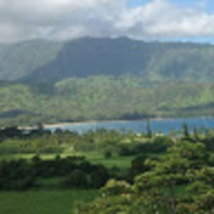 Meet your Posher, The